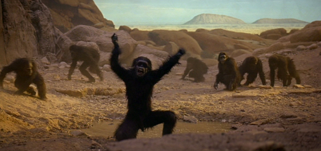 2001-a-space-odyssey-dawn-of-man-apes.png